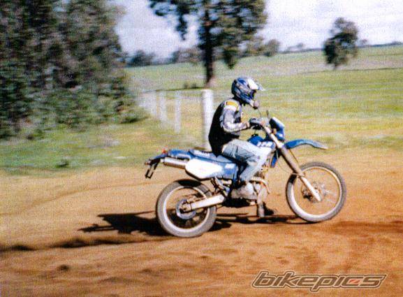 2002 YAMAHA TTR 250 | Picture 201924 motorcycle photo