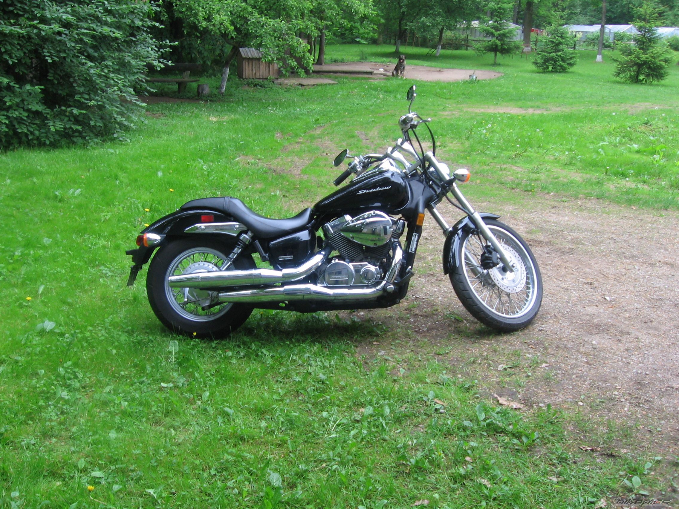 2007 HONDA SHADOW SPIRIT 750 | Picture 2019280 motorcycle photo