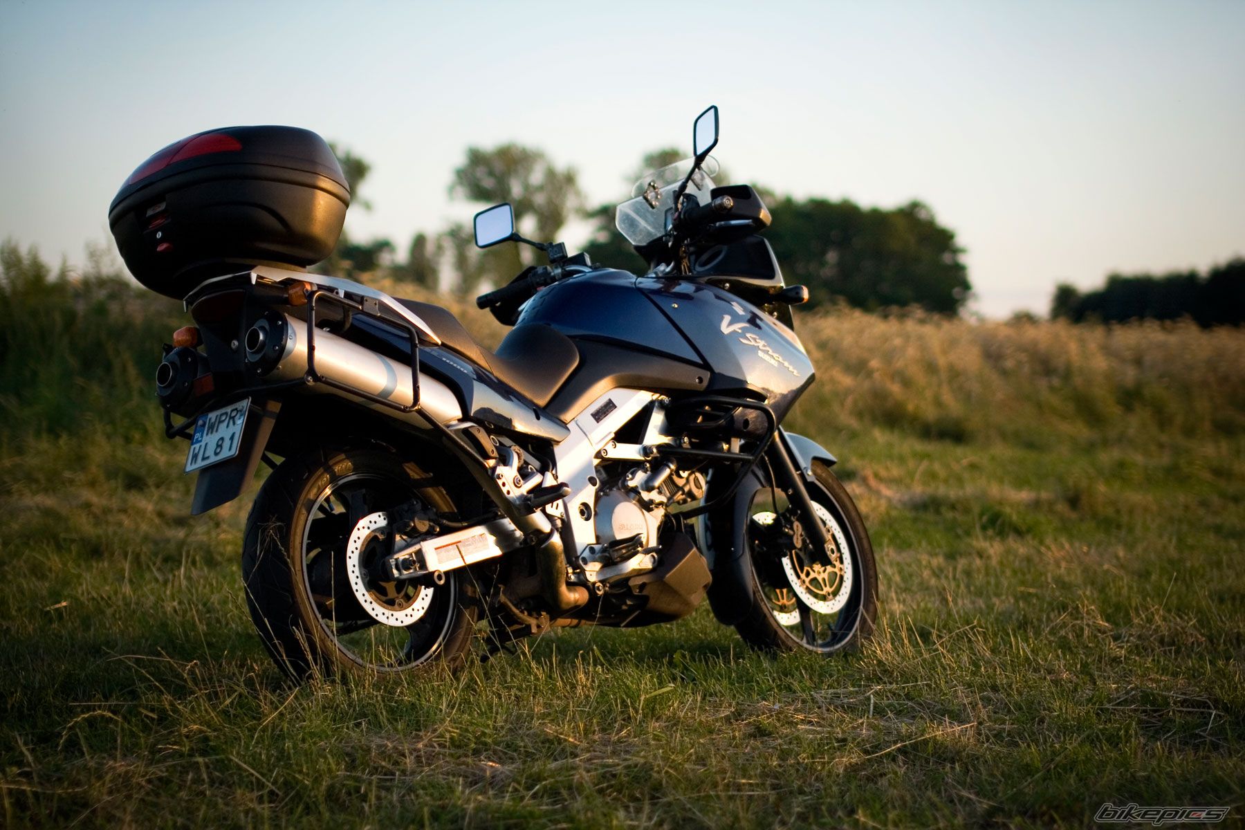 2002 SUZUKI DL 1000 | Picture 2019290 motorcycle photo