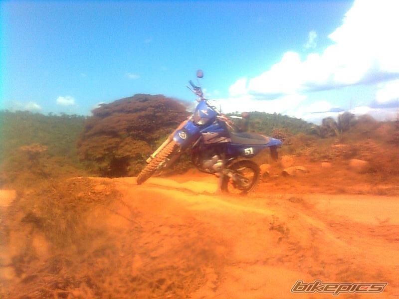 2007 YAMAHA XT 250 | Picture 2019340 motorcycle photo