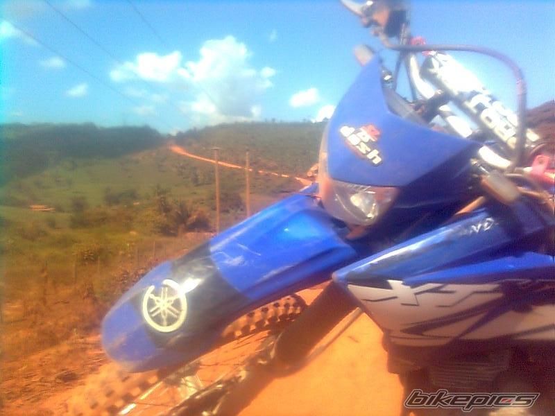 2007 YAMAHA XT 250 | Picture 2019353 motorcycle photo