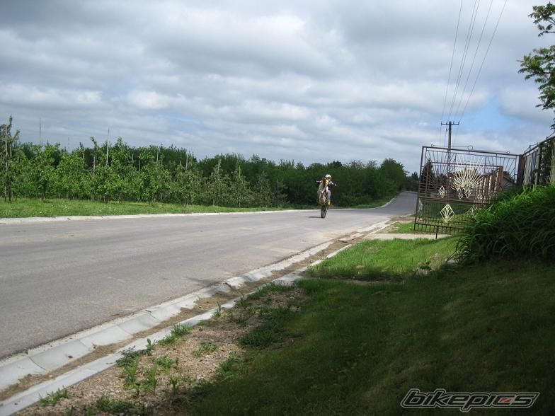 1992 SUZUKI DR 350 | Picture 2019501 motorcycle photo