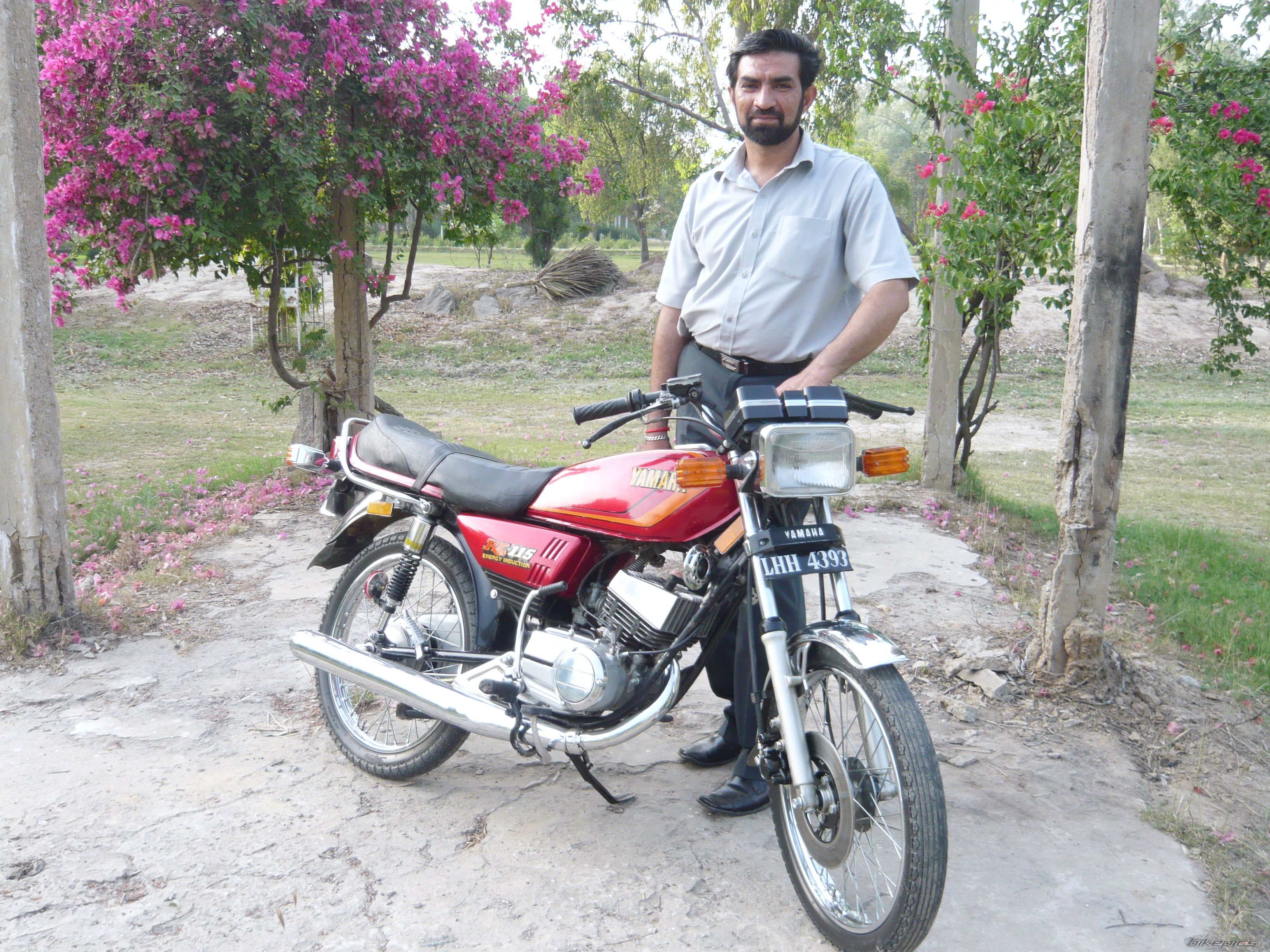 1995 YAMAHA RX 115 | Picture 2020070 motorcycle photo