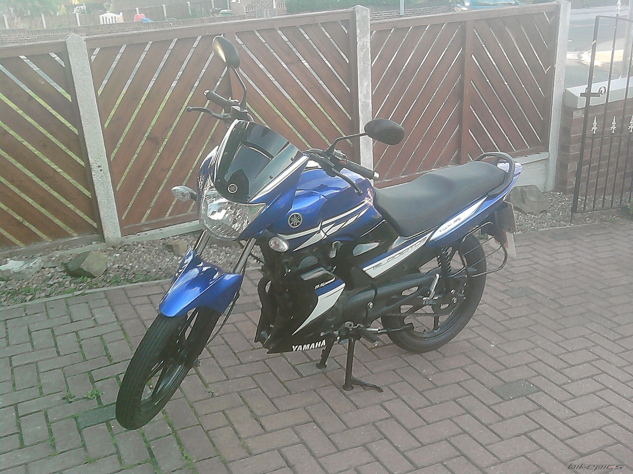 2010 YAMAHA YBR 125 | Picture 2020102 motorcycle photo