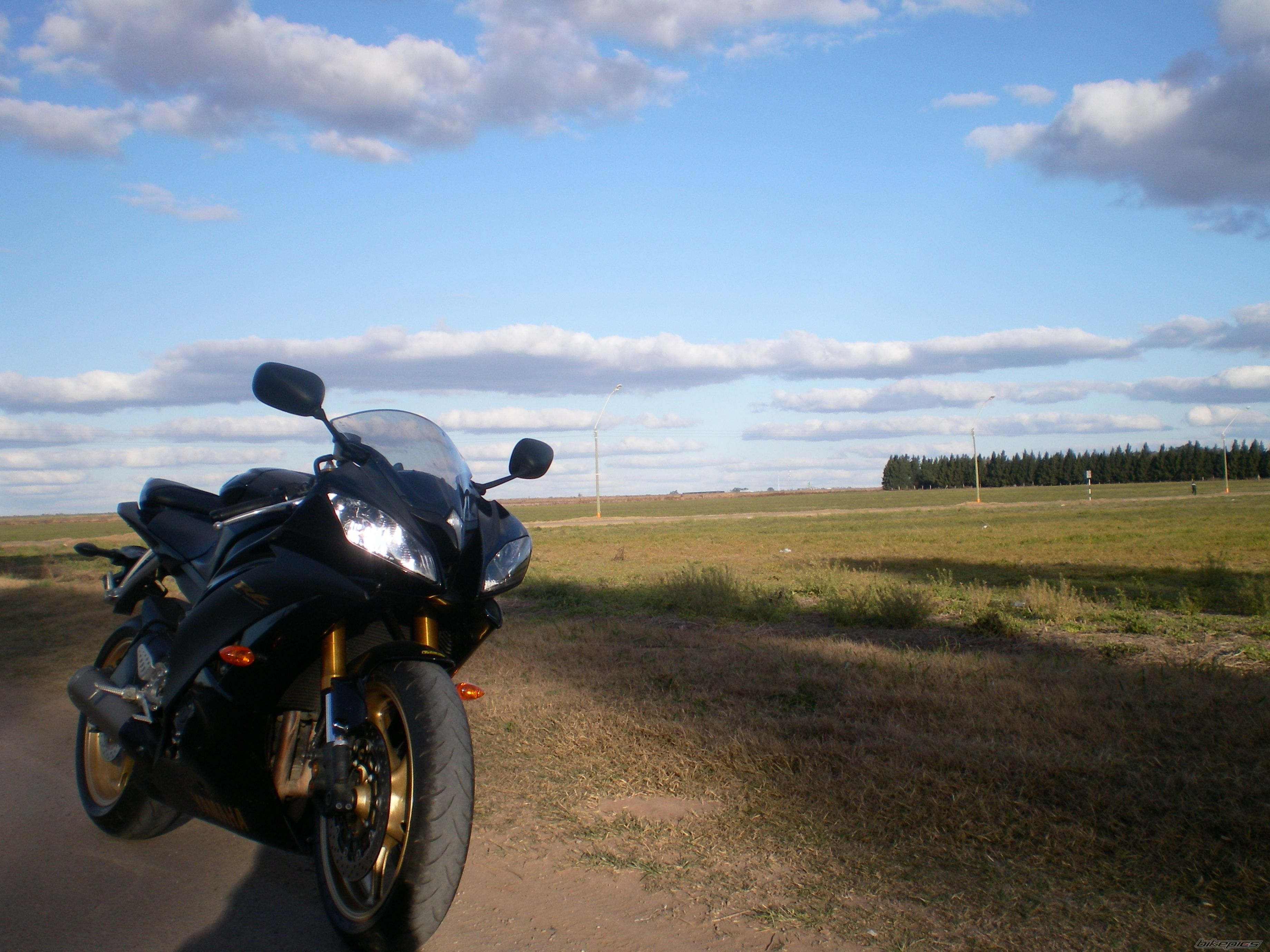 2009 YAMAHA YZF R6 | Picture 2020164 motorcycle photo