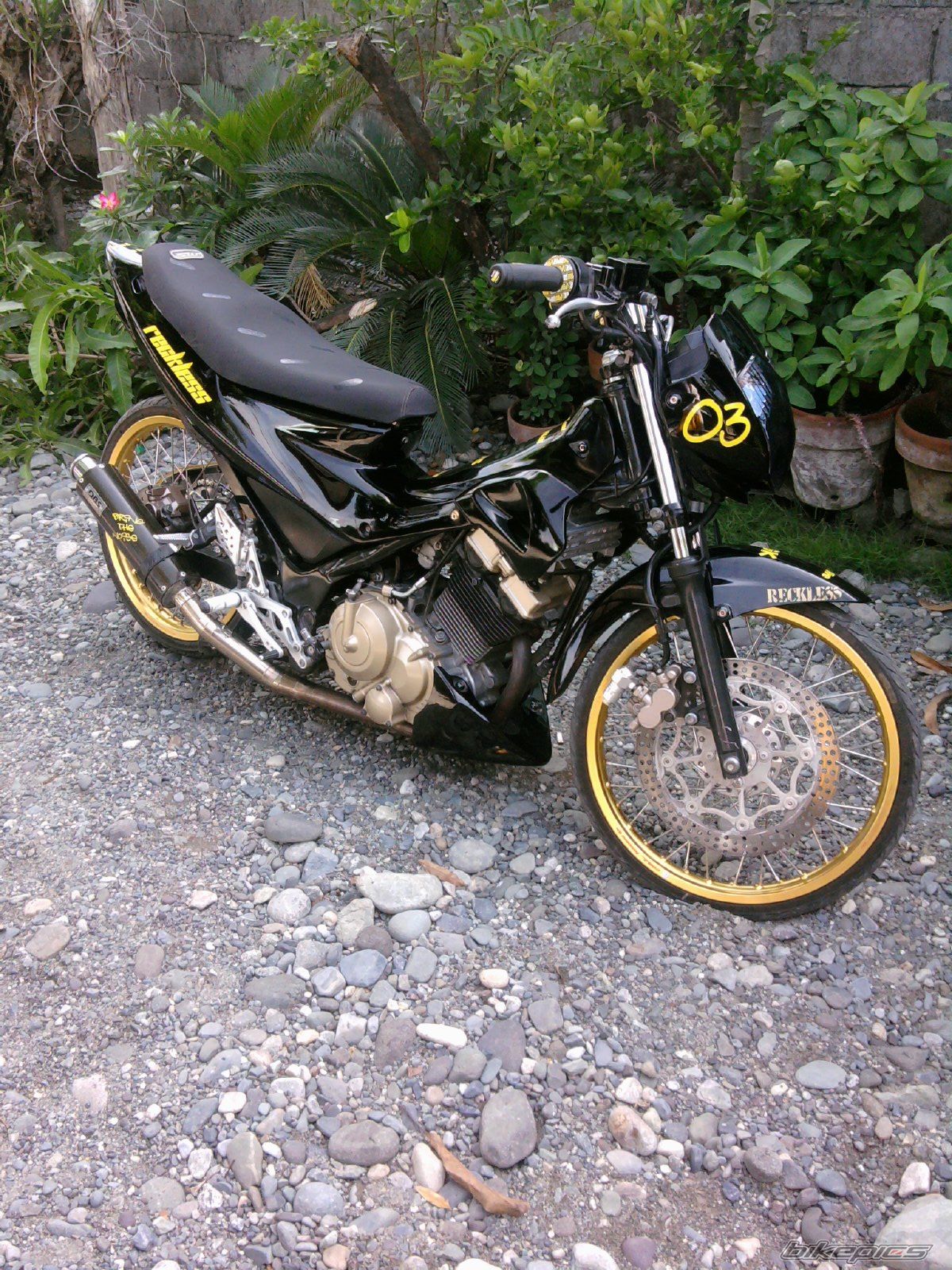1979 SUZUKI RAIDER 150 | Picture 2020228 motorcycle photo