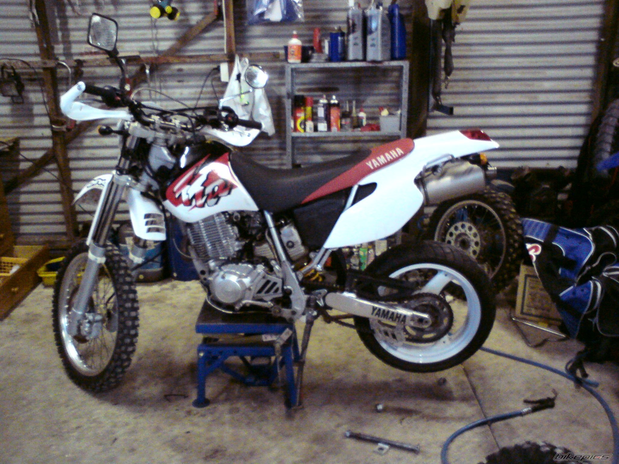    | Picture 2020236 motorcycle photo