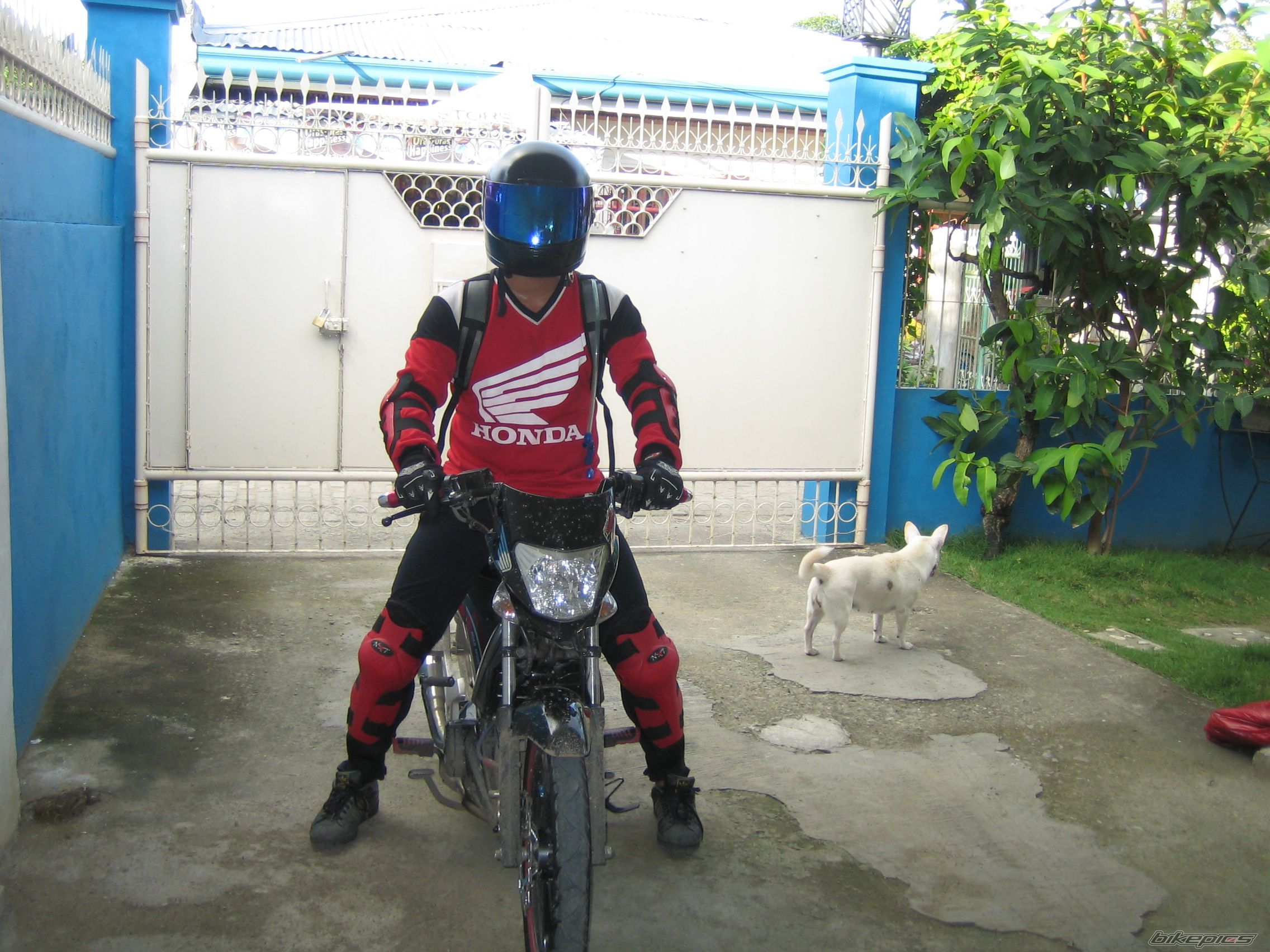 2010 HONDA XRM 110 | Picture 2020239 motorcycle photo