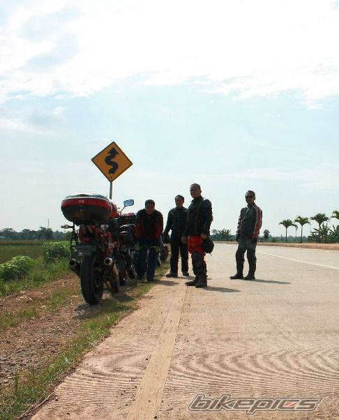 2008 BAJAJ PULSAR 200 | Picture 2020299 motorcycle photo