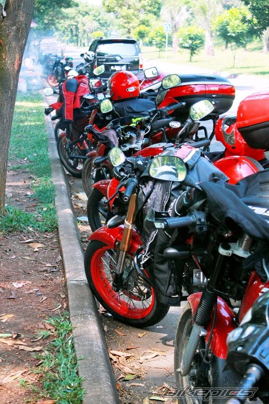 2008 BAJAJ PULSAR 200 | Picture 2020304 motorcycle photo