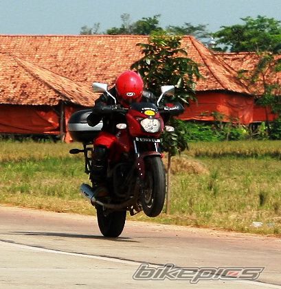 2008 BAJAJ PULSAR 200 | Picture 2020312 motorcycle photo