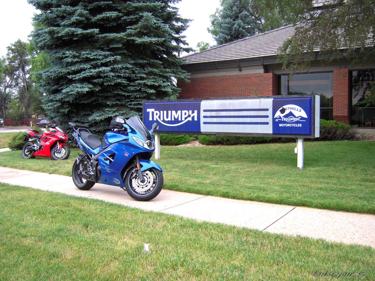 2006 TRIUMPH SPRINT ST | Picture 2020577 motorcycle photo