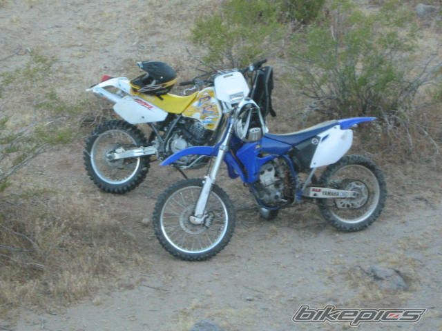 1994 SUZUKI DR 350 | Picture 2020602 motorcycle photo
