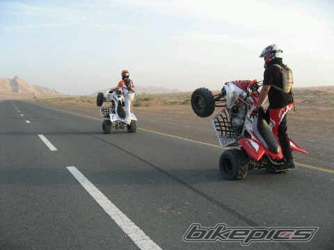 2009 YAMAHA RAPTOR YFZ 450 | Picture 2020629 motorcycle photo