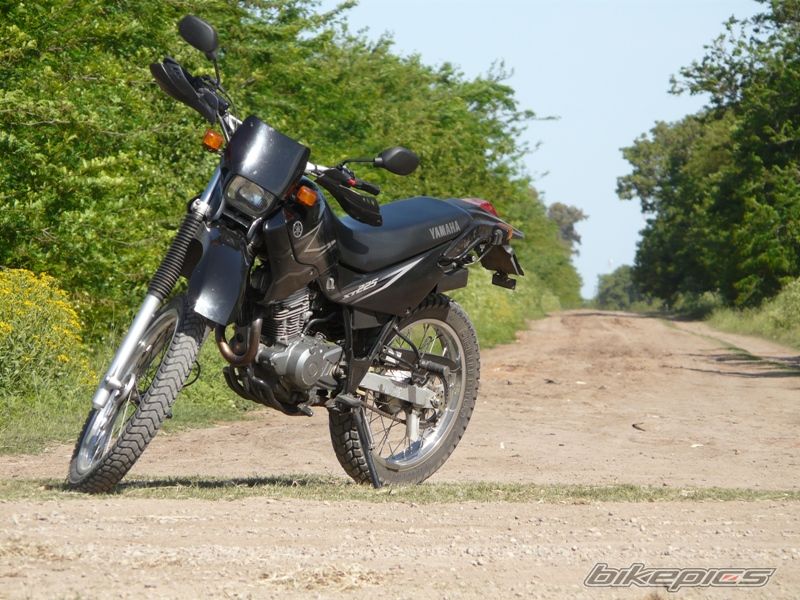 2008 YAMAHA XT 225 | Picture 2020676 motorcycle photo