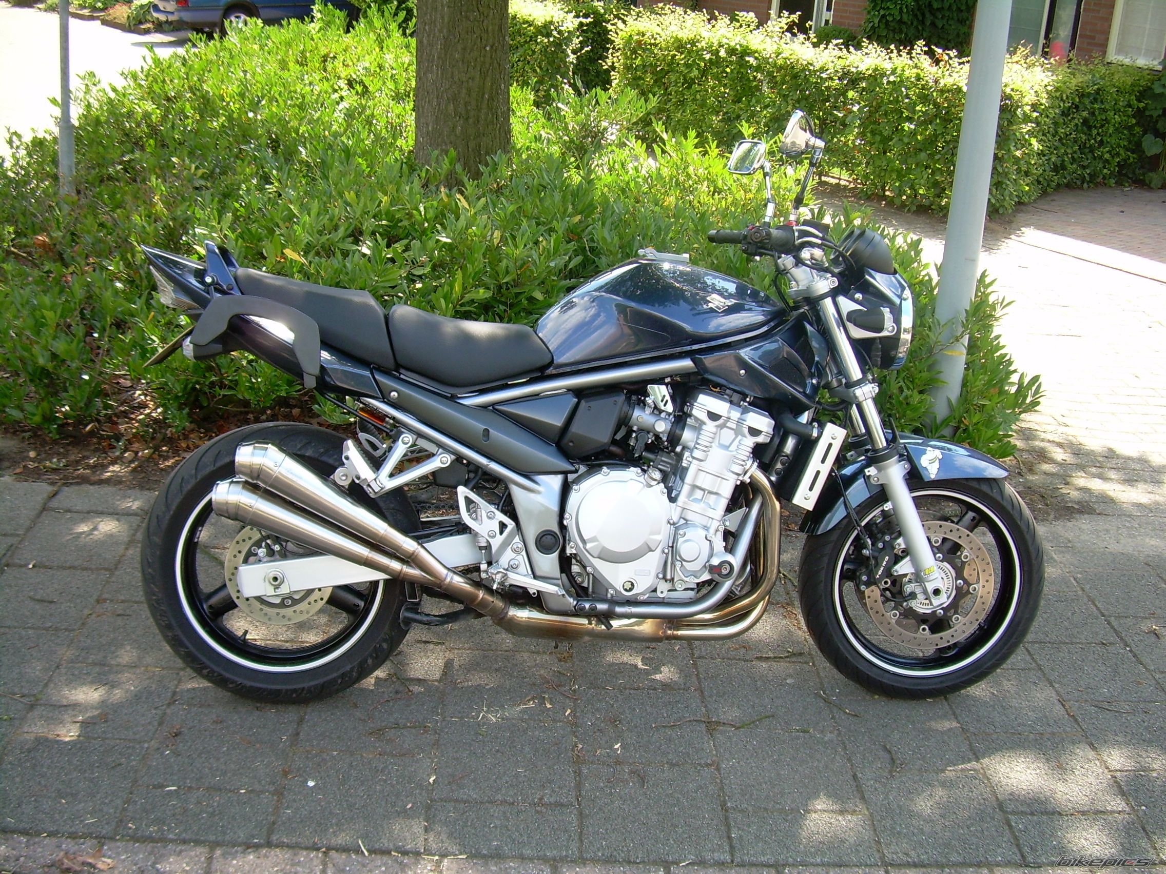 2008 SUZUKI BANDIT 650 | Picture 2021043 motorcycle photo