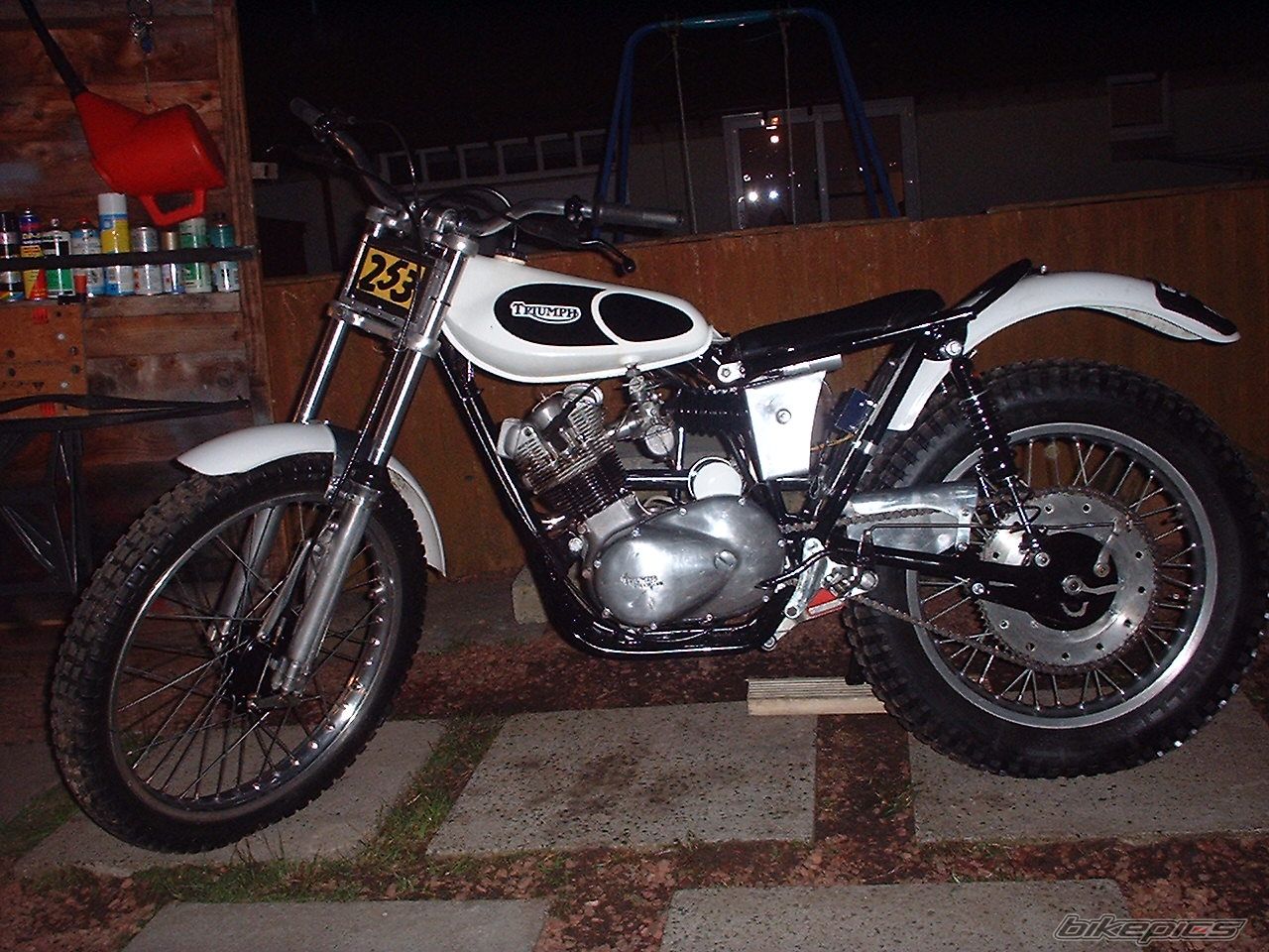 1964 TRIUMPH TIGER CUB T20 | Picture 2021190 motorcycle photo