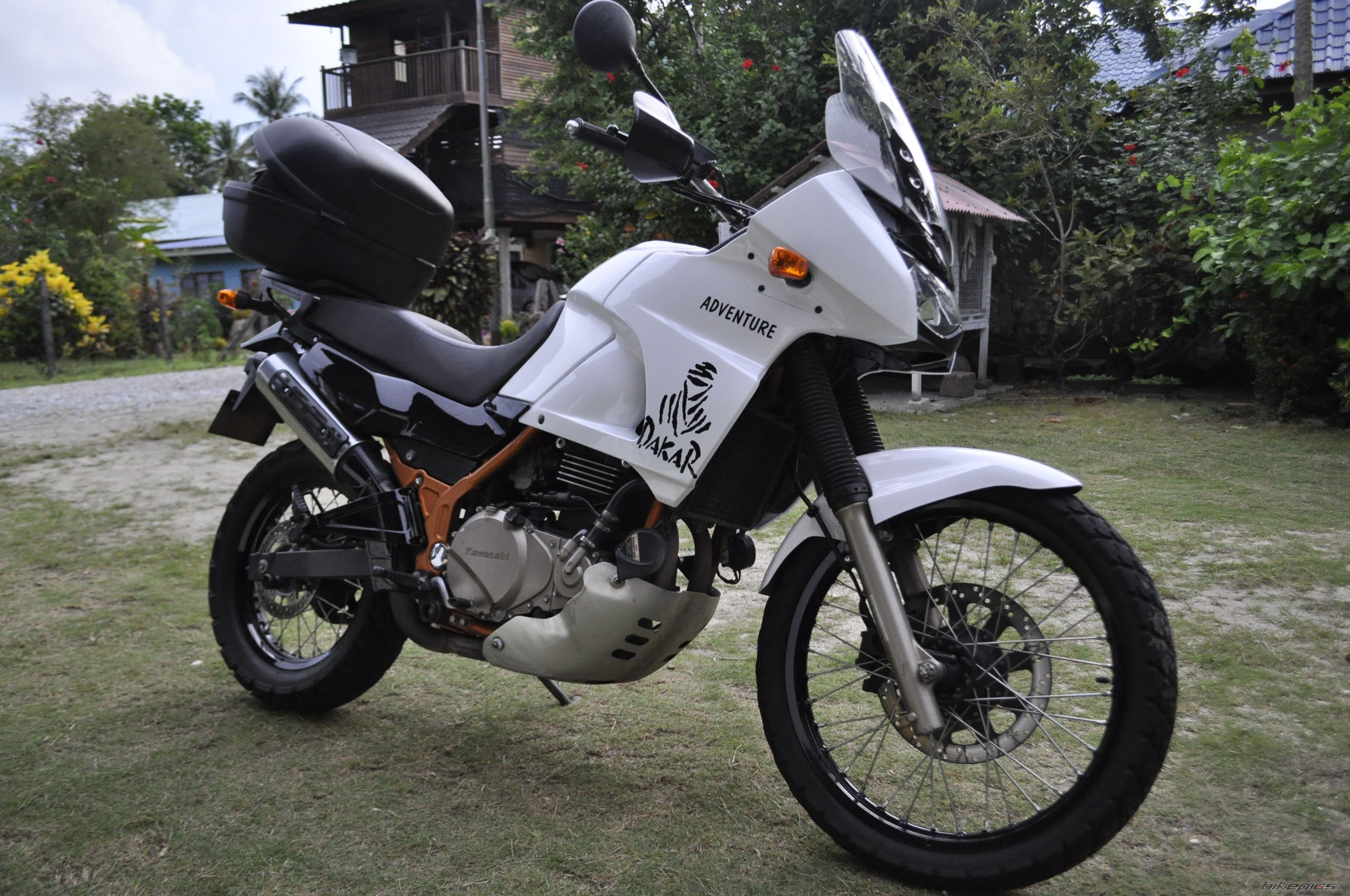 2005 KAWASAKI KLE 500 | Picture 2021465 motorcycle photo