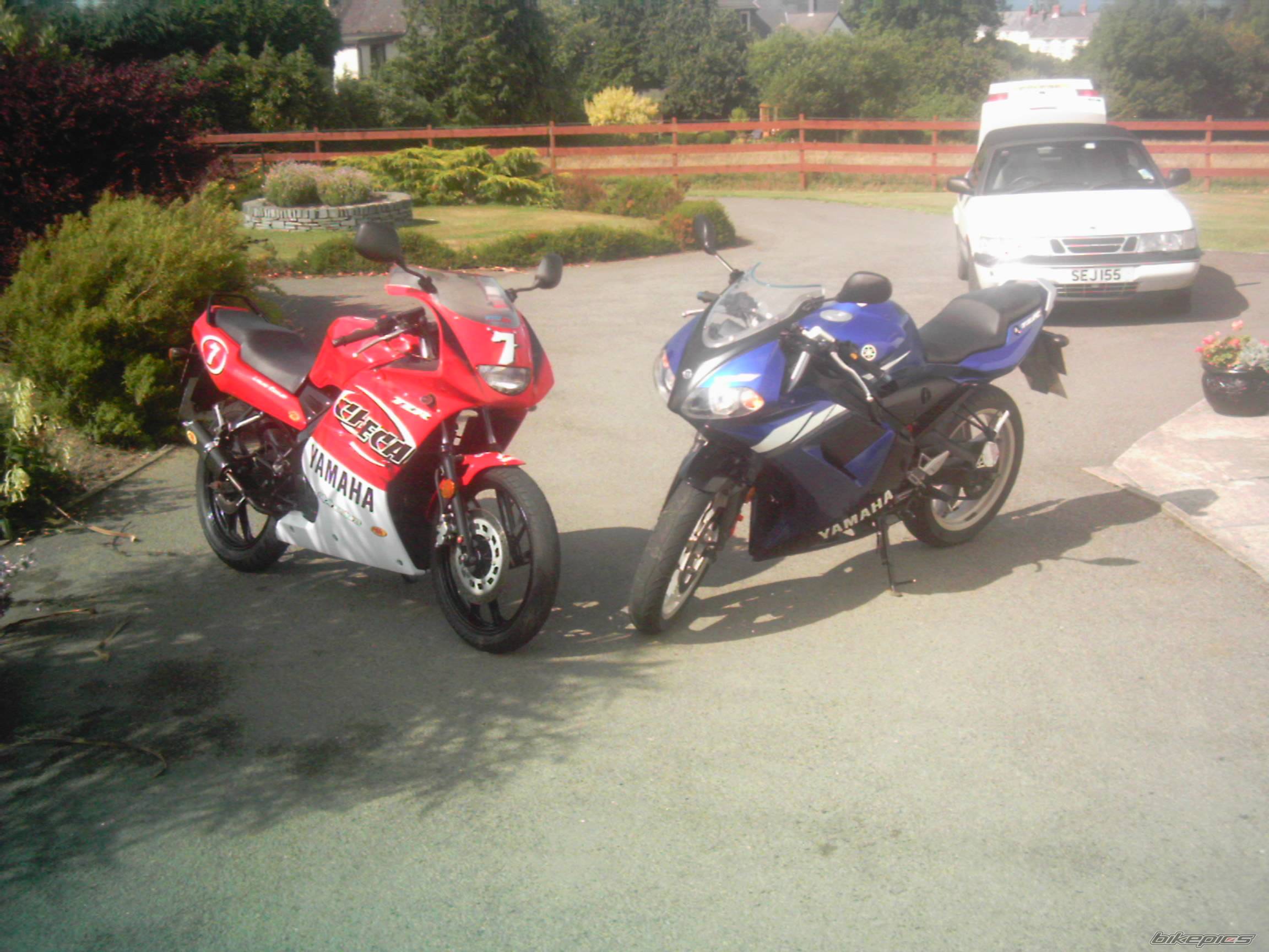 2003 YAMAHA TZR 50 | Picture 202153 motorcycle photo