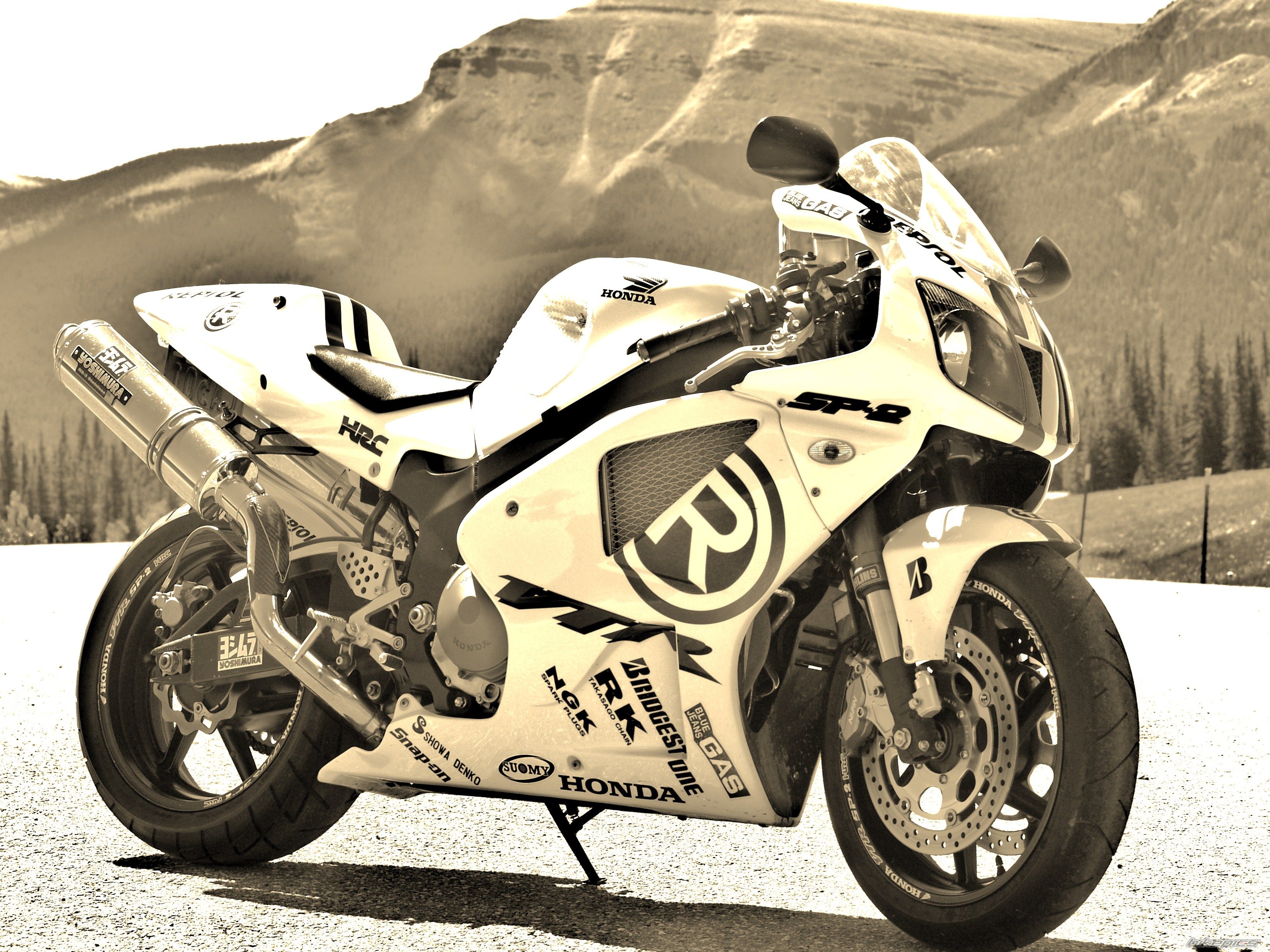 2001 HONDA RC51 | Picture 2021793 motorcycle photo
