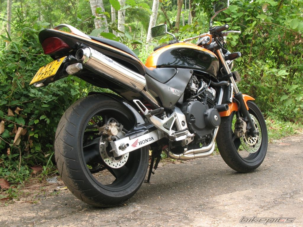 1998 HONDA CB 250 HORNET | Picture 2021887 motorcycle photo