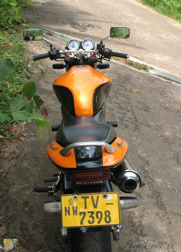 1998 HONDA CB 250 HORNET | Picture 2021888 motorcycle photo