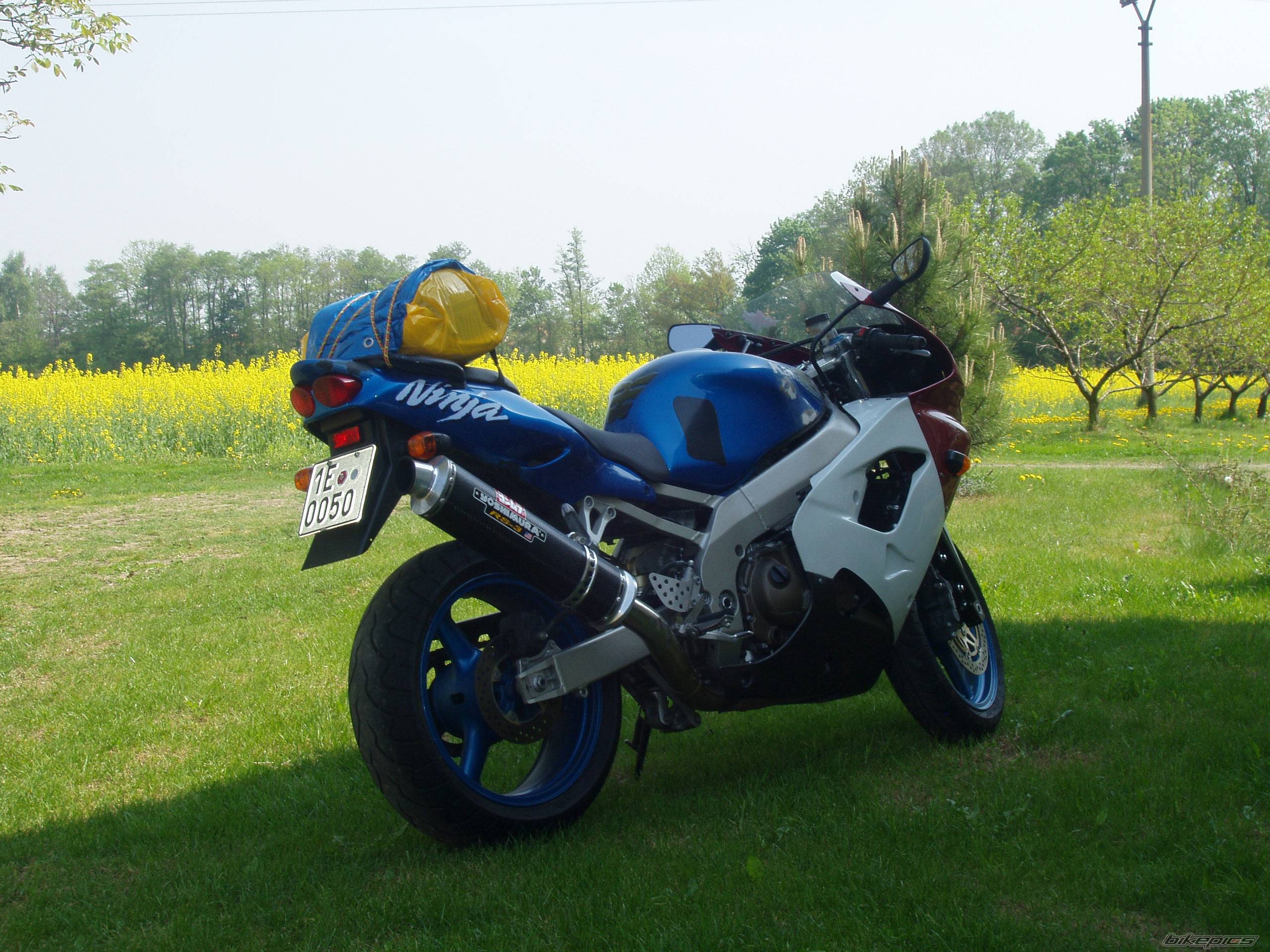 1999 KAWASAKI ZX 9R | Picture 202215 motorcycle photo