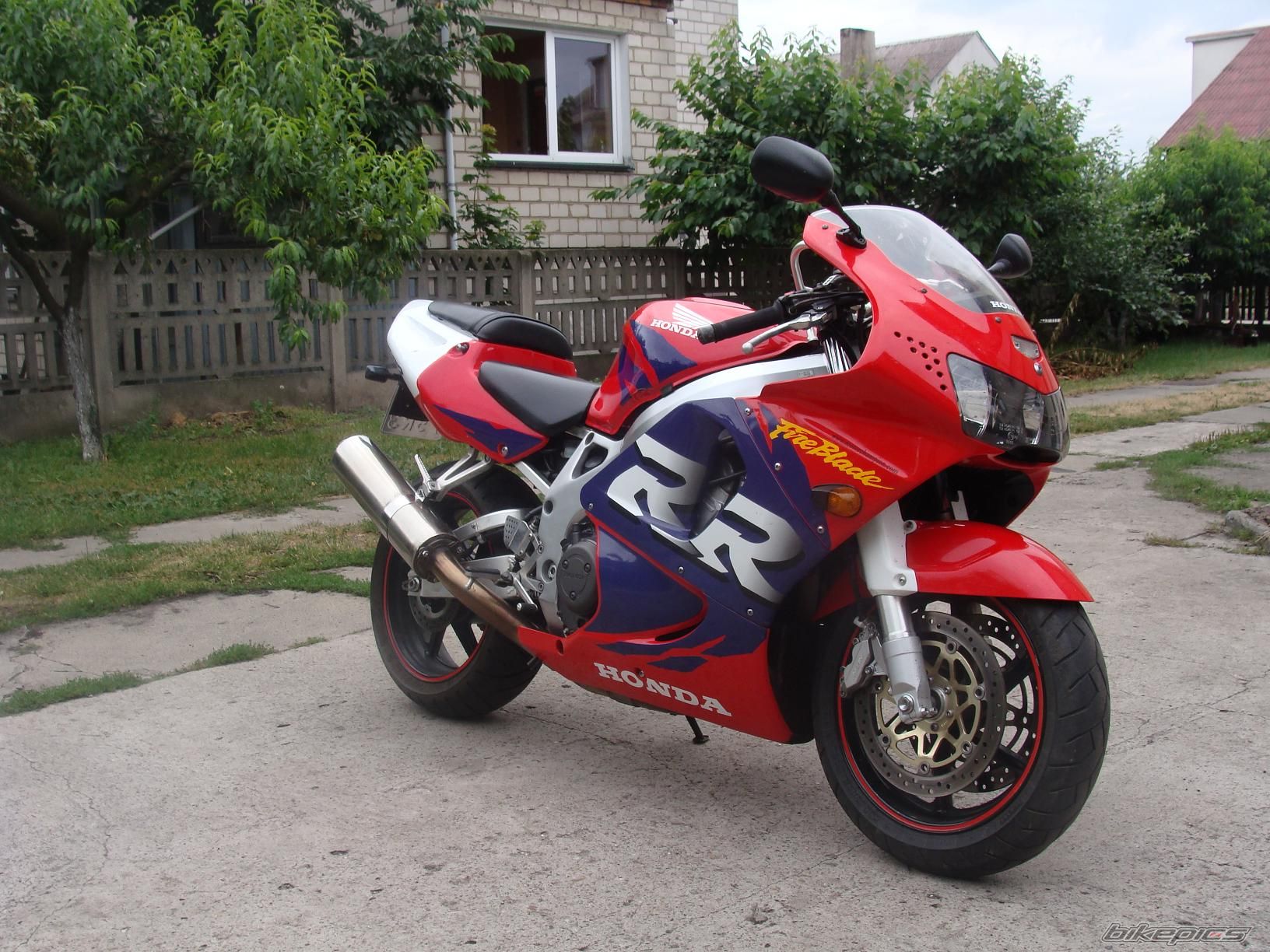 1998 HONDA CBR 900 | Picture 2022598 motorcycle photo