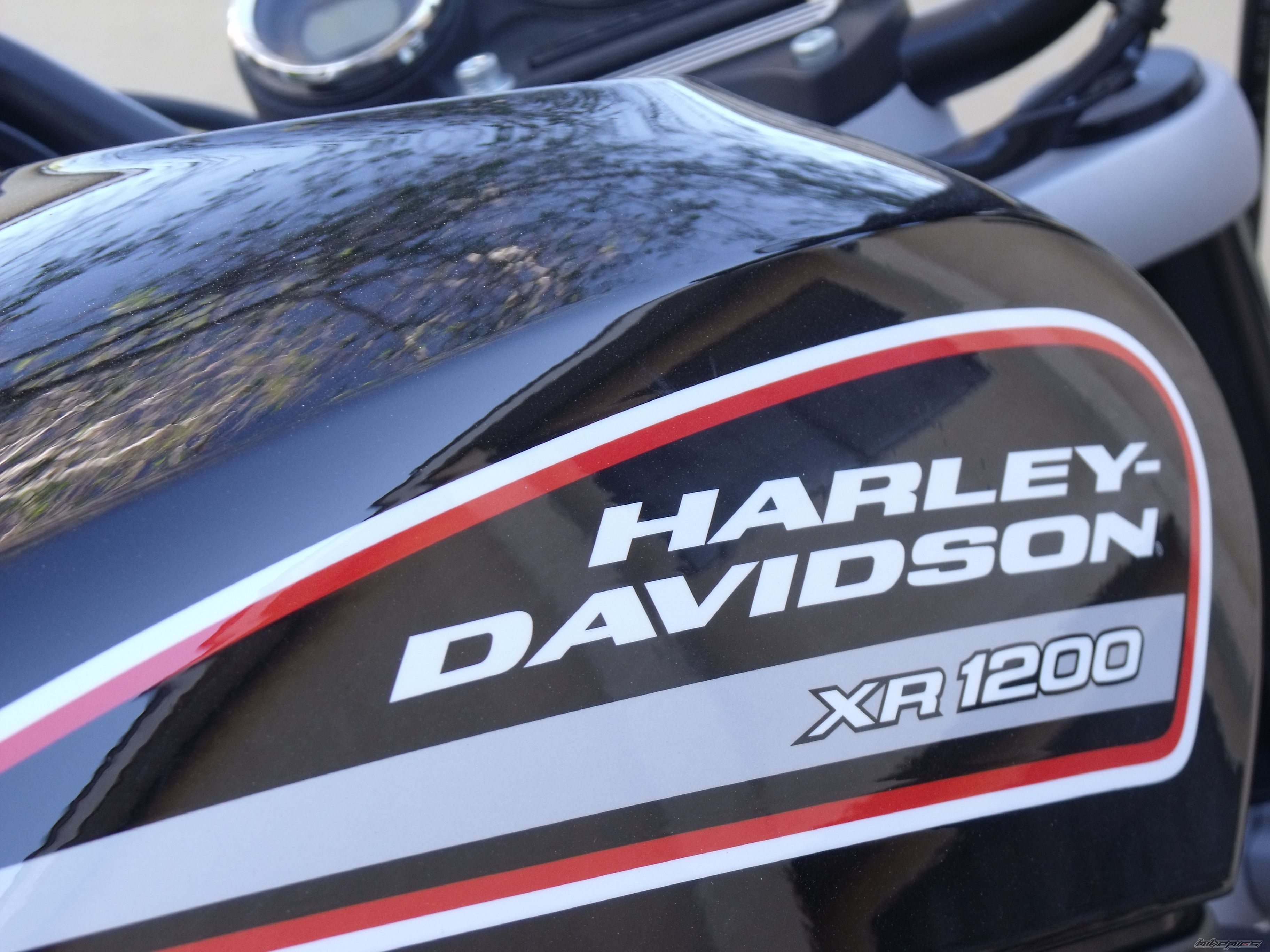 2009 HARLEY DAVIDSON XR 1200 | Picture 2023103 motorcycle photo