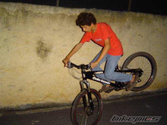 1998 HONDA Z 50 | Picture 202328 motorcycle photo
