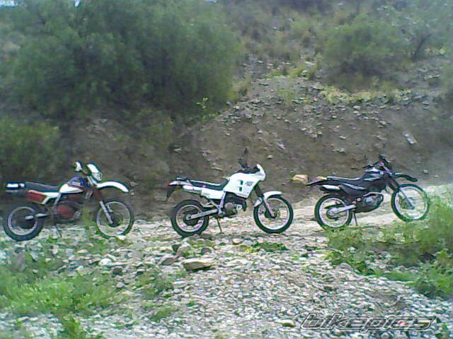 1989 HONDA NX 250 | Picture 2023368 motorcycle photo