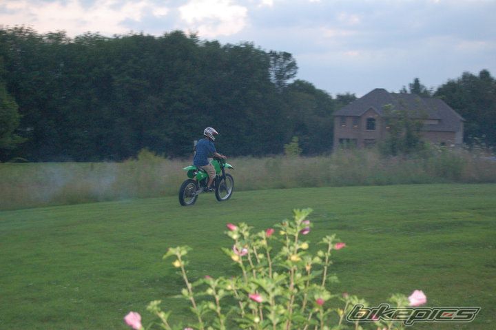 1984 KAWASAKI KX 125 | Picture 2023777 motorcycle photo
