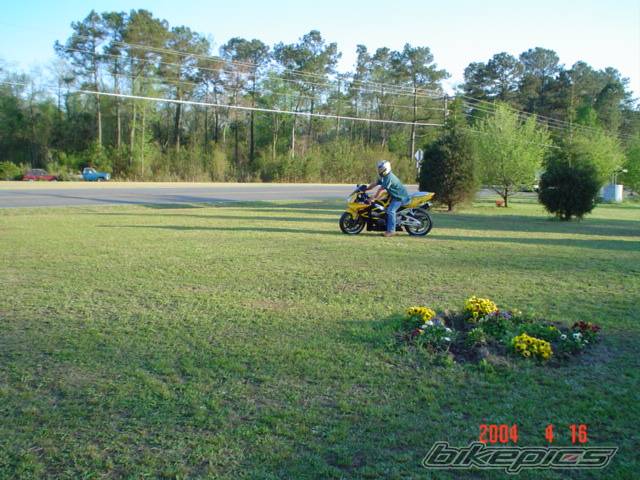 2000 HONDA CBR 900 | Picture 202381 motorcycle photo