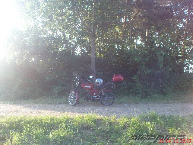 1982 SIMSON S 51 | Picture 2023891 motorcycle photo