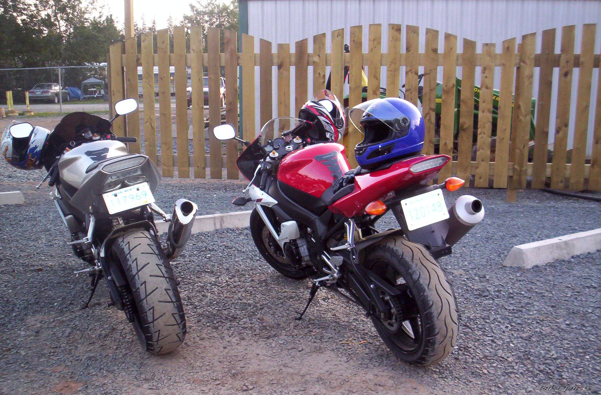 2003 YAMAHA YZF R1 | Picture 202415 motorcycle photo