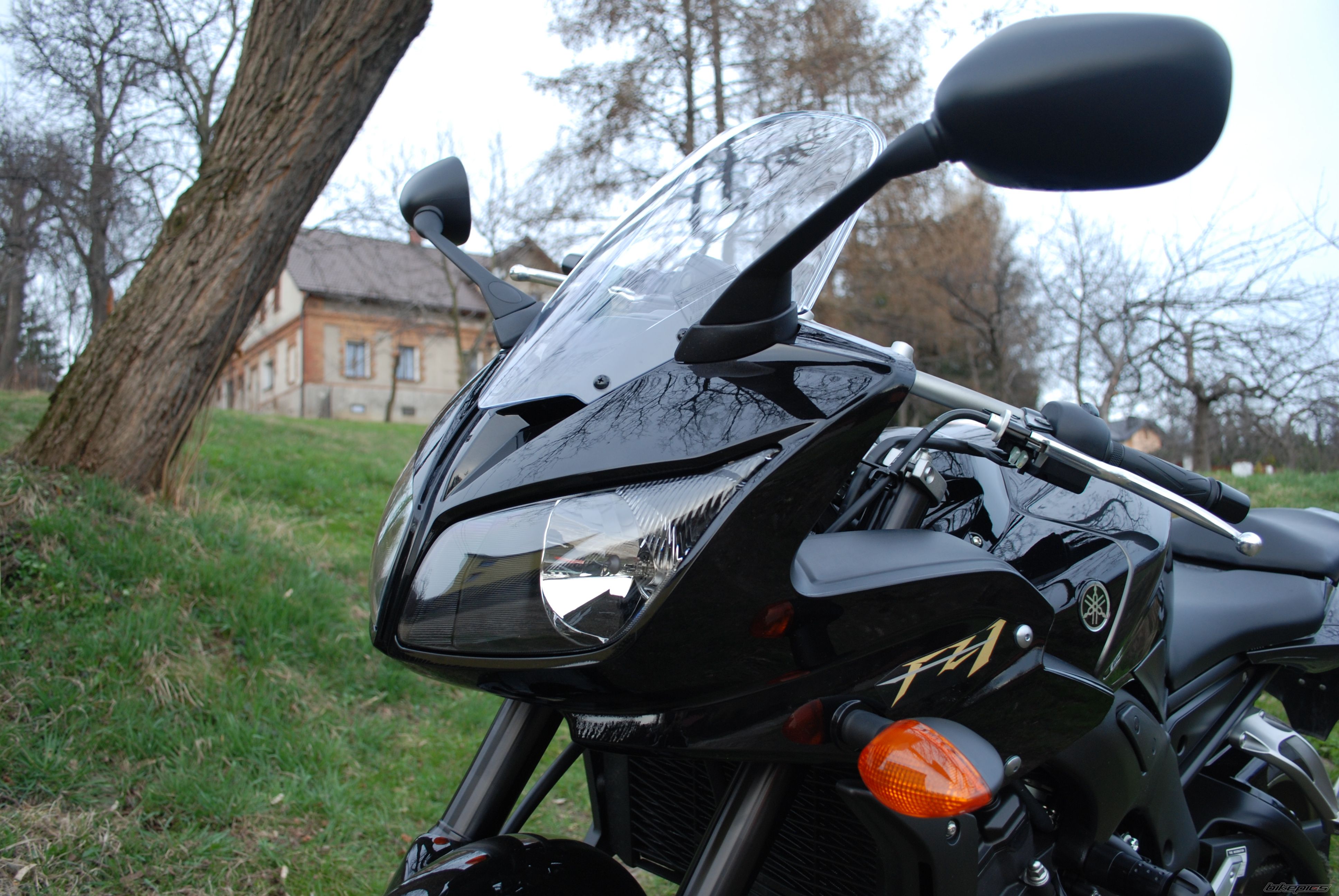 2009 YAMAHA FZ 1 | Picture 2024180 motorcycle photo