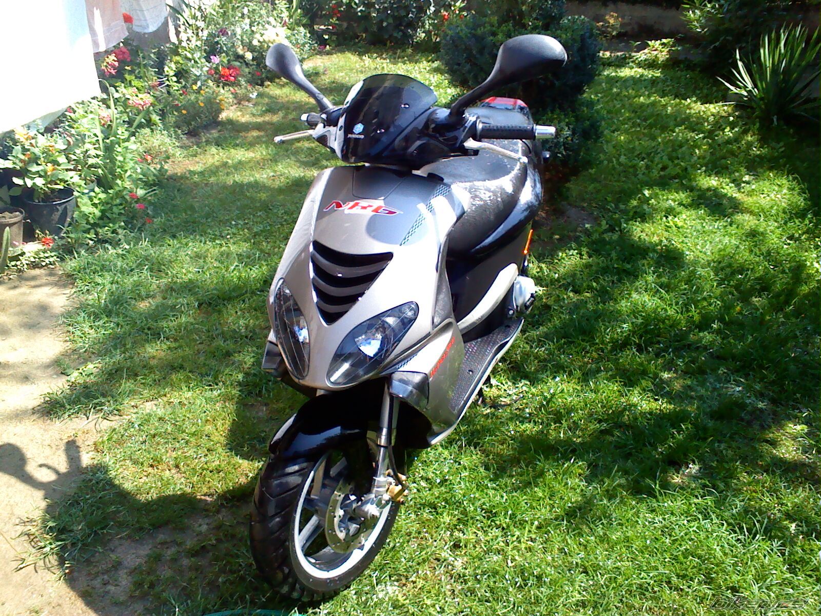 2005 PIAGGIO NRG | Picture 2024795 motorcycle photo