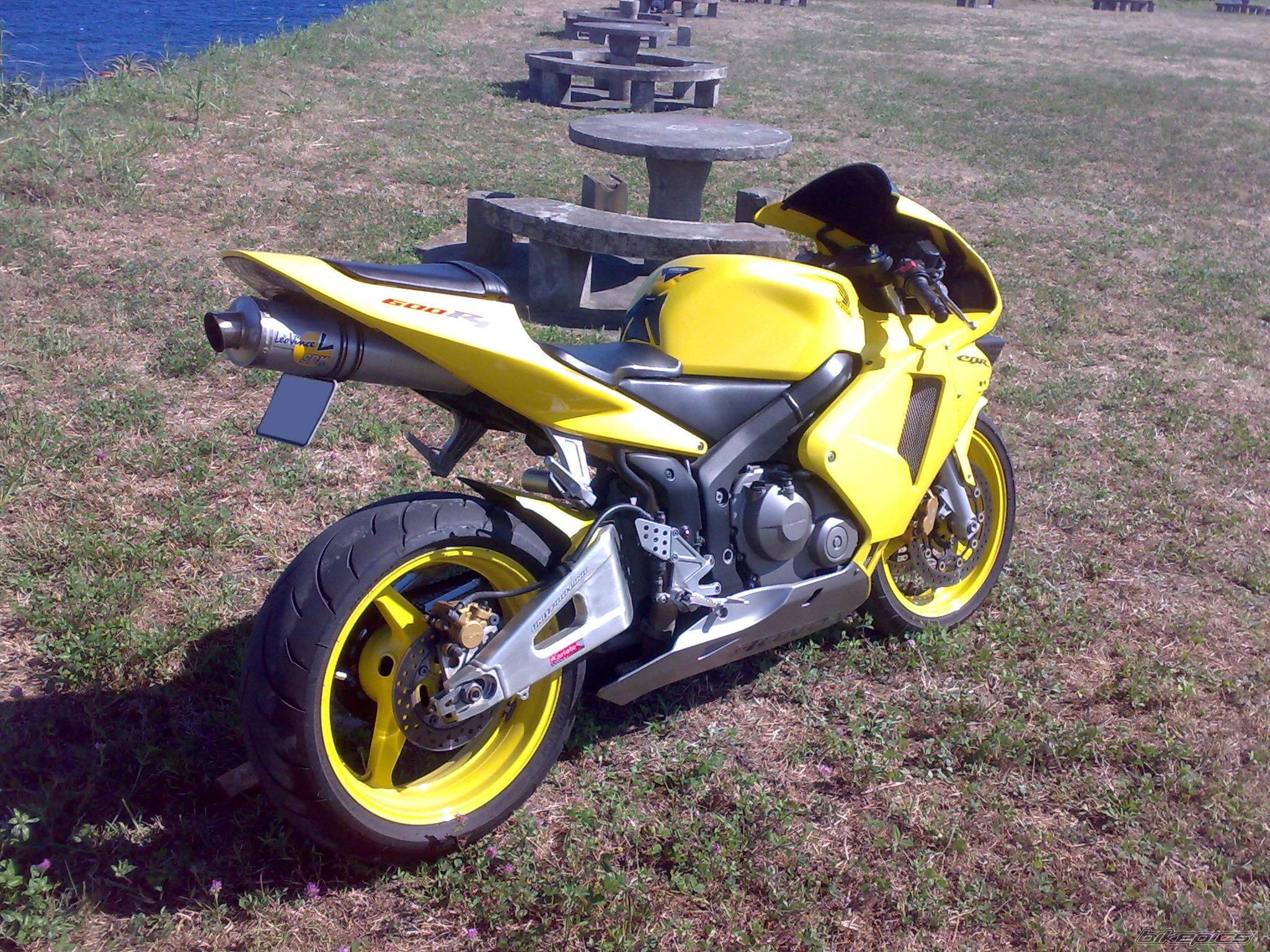 2003 HONDA CBR 600 RR | Picture 2026492 motorcycle photo