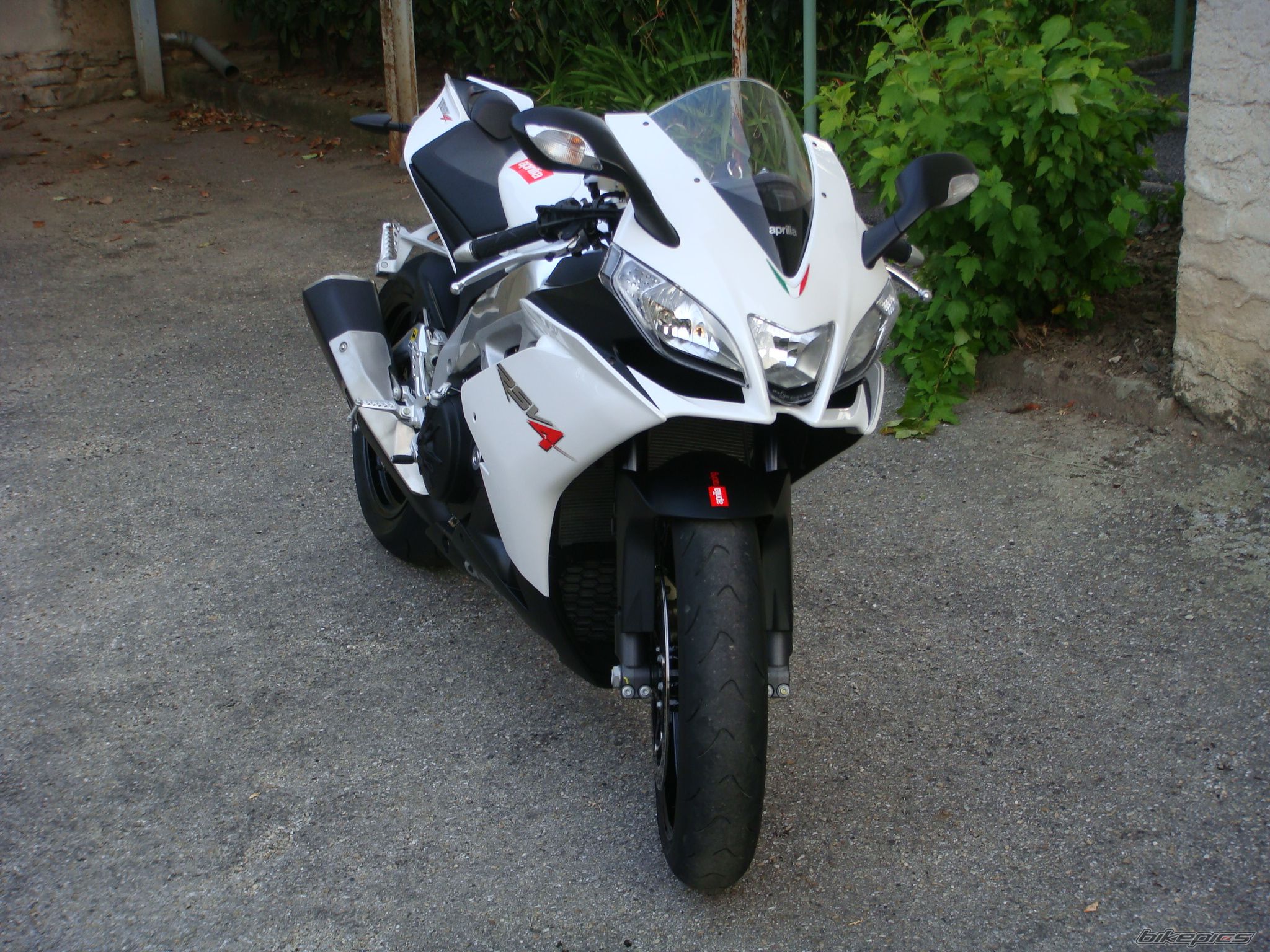 2009 APRILIA RSV 1000R MILLE | Picture 2026533 motorcycle photo