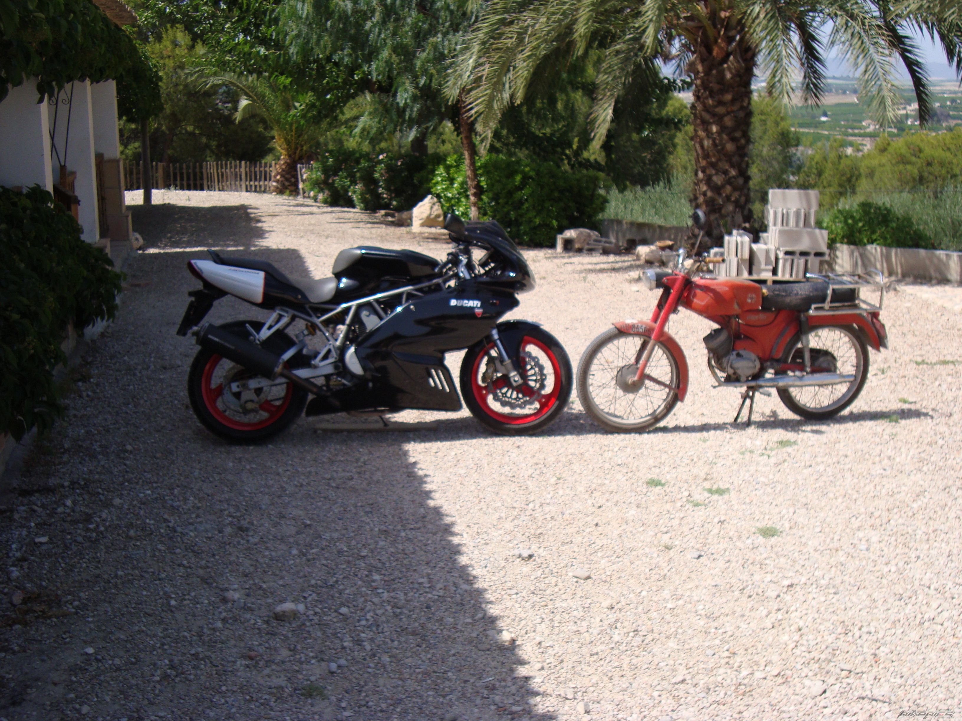 2003 DUCATI 750 SS | Picture 2027075 motorcycle photo