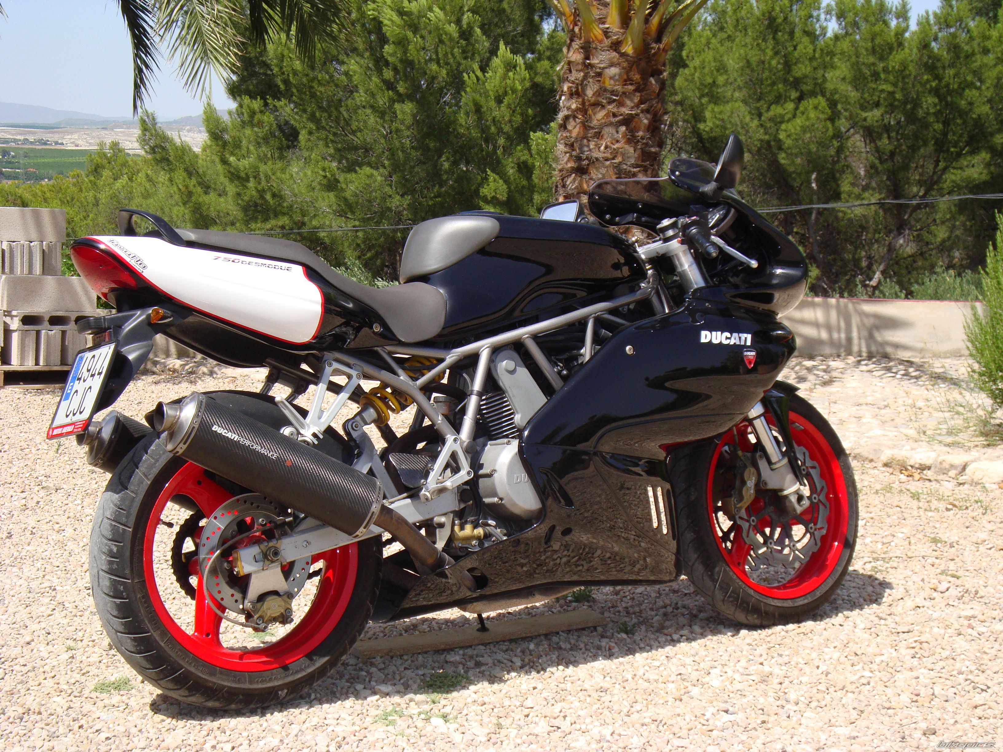 2003 DUCATI 750 SS | Picture 2027086 motorcycle photo