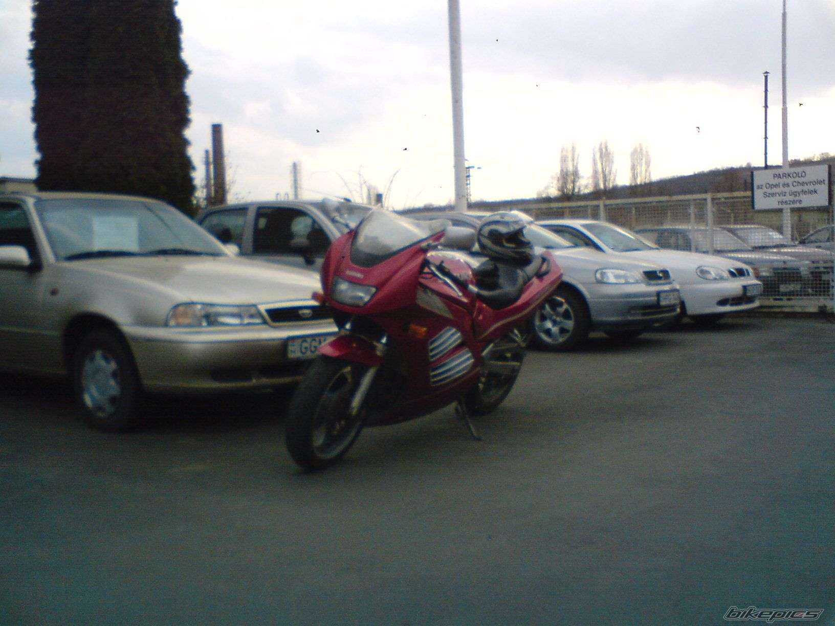 1994 SUZUKI RF 400 | Picture 2027185 motorcycle photo