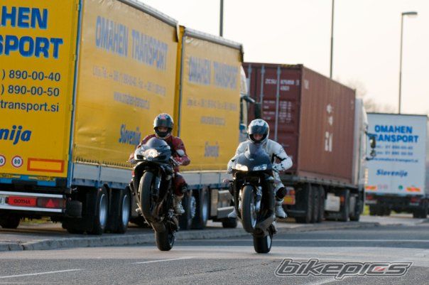 2004 HONDA CBR 600 RR | Picture 2028494 motorcycle photo