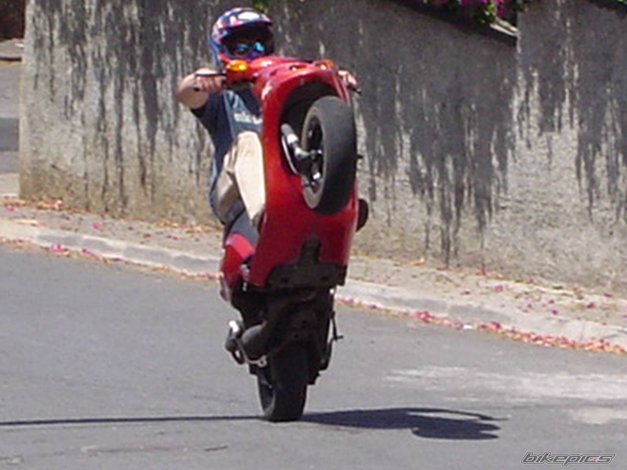 1998 PIAGGIO NTT 50 | Picture 202868 motorcycle photo