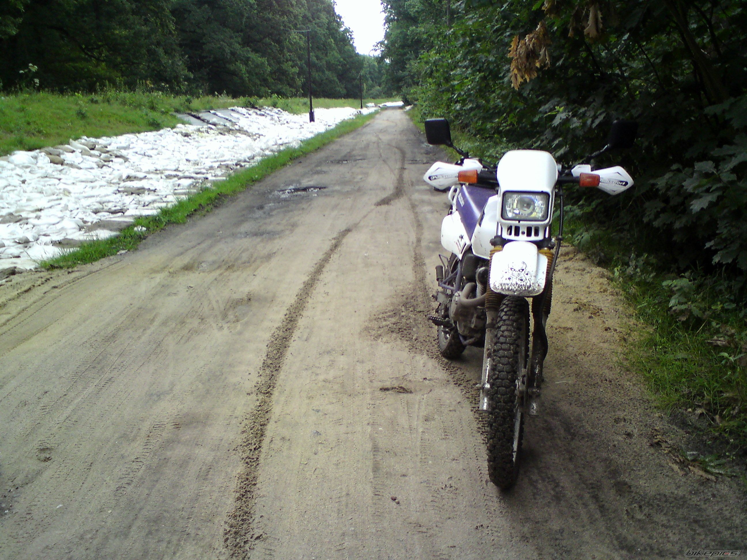 1997 SUZUKI DR 125 | Picture 2028845 motorcycle photo