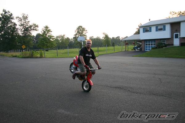 2003 HONDA XR 50 | Picture 202934 motorcycle photo