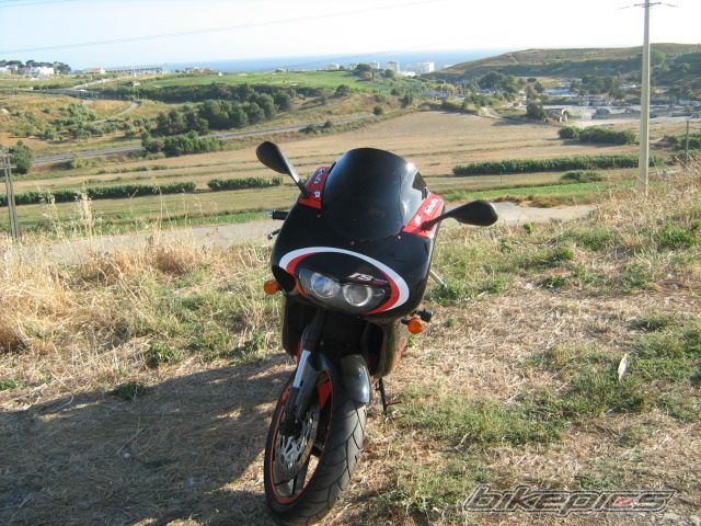 2002 APRILIA RS 125 | Picture 2031609 motorcycle photo