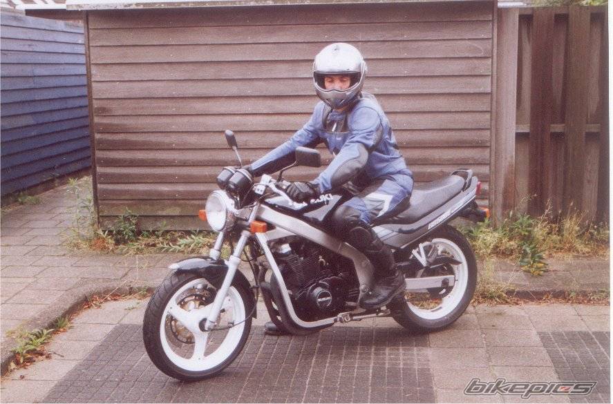 1990 SUZUKI GS 500 | Picture 203164 motorcycle photo