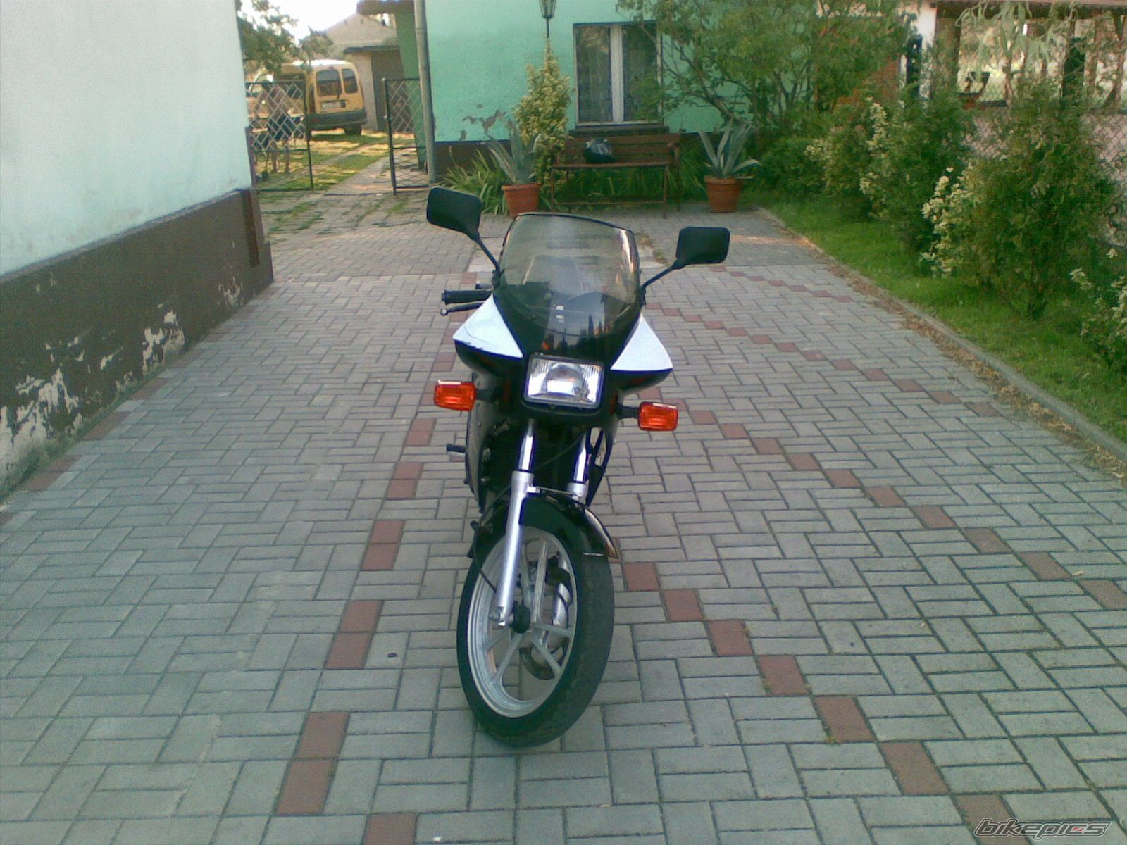 1993 SUZUKI RG 80 | Picture 2031816 motorcycle photo