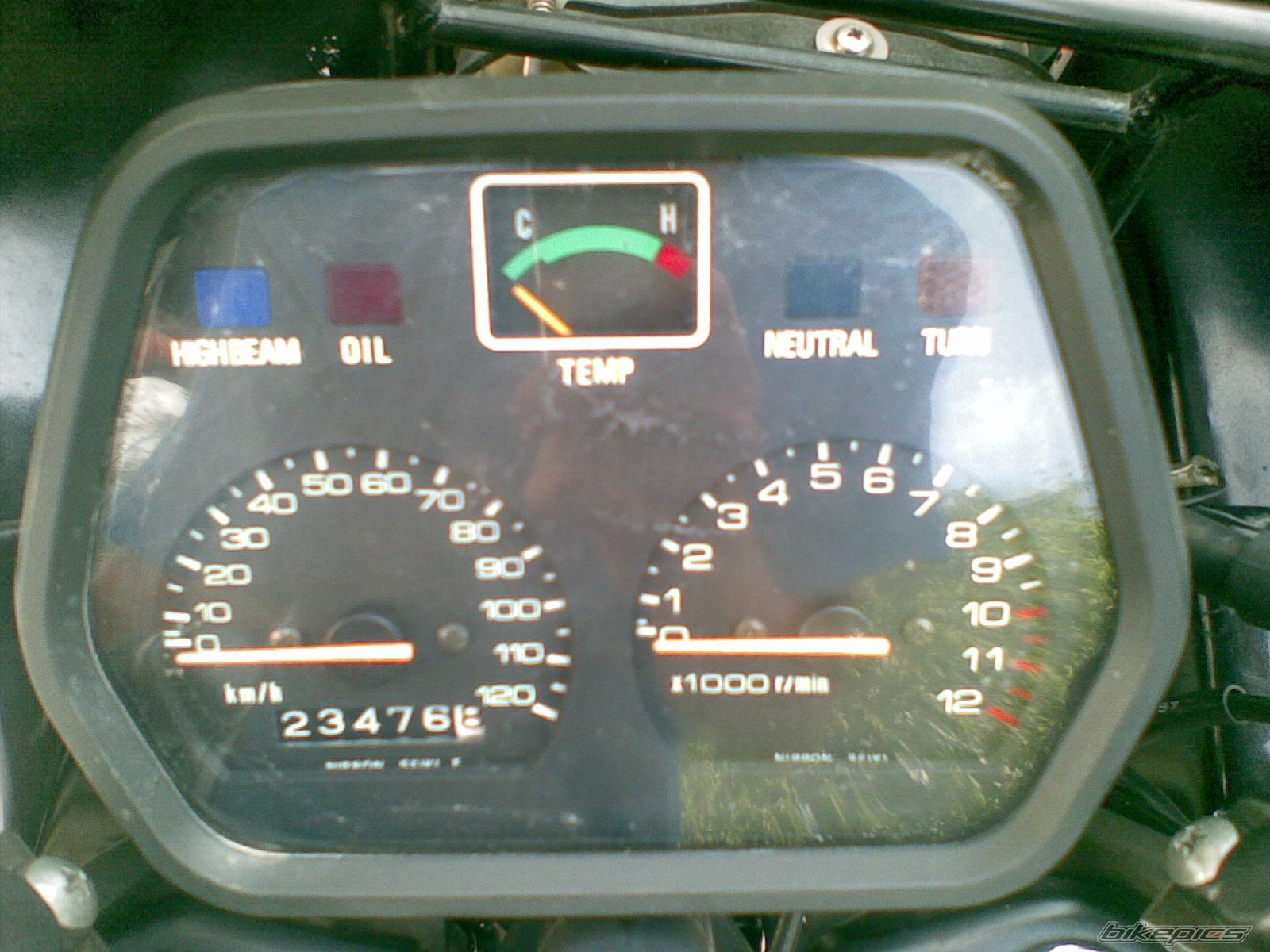 1993 SUZUKI RG 80 | Picture 2031817 motorcycle photo